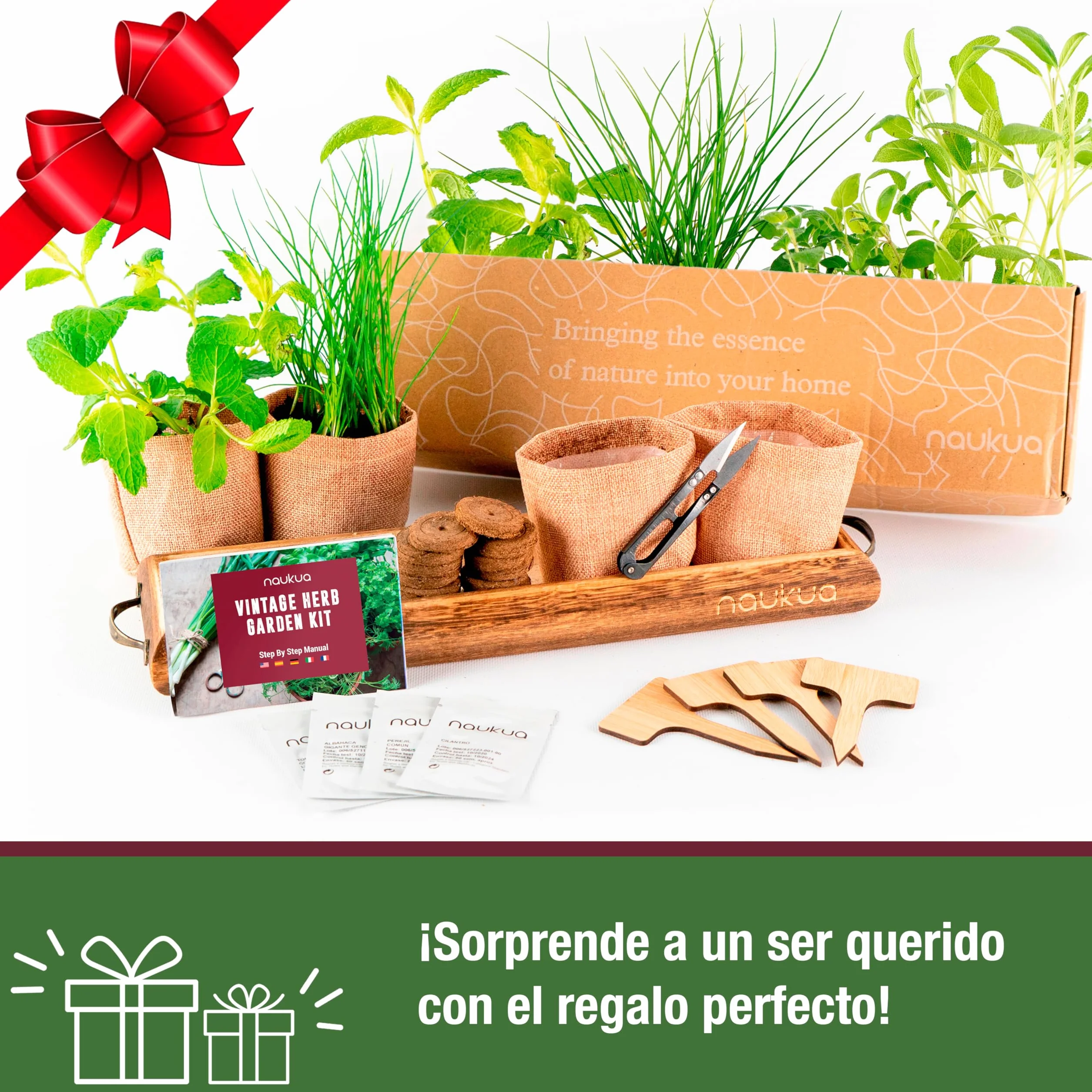 Kit Cultivo Hierbas Aromaticas Cebollino Oregano Menta Salvia Semillas Organicas Huerto Urbano