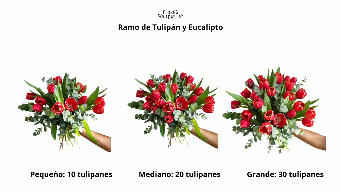 Ramo de Tulipanes Naturales 10 Tulipanes Eucalipto Violeta