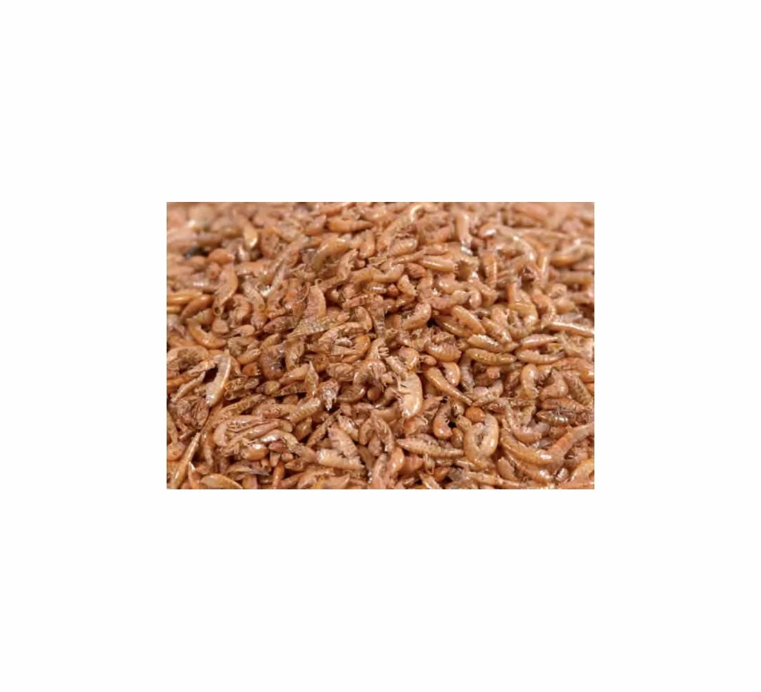 Koi - Cangrejo de río (10 L, 1 kg)