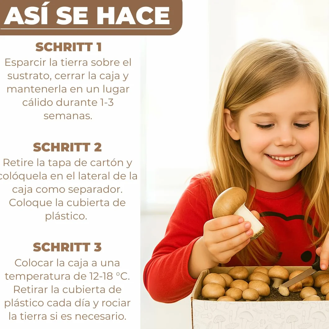 Hawlik Pilzbrut 2 cultivos de champiñones blanco y marrón pequeño Portobello