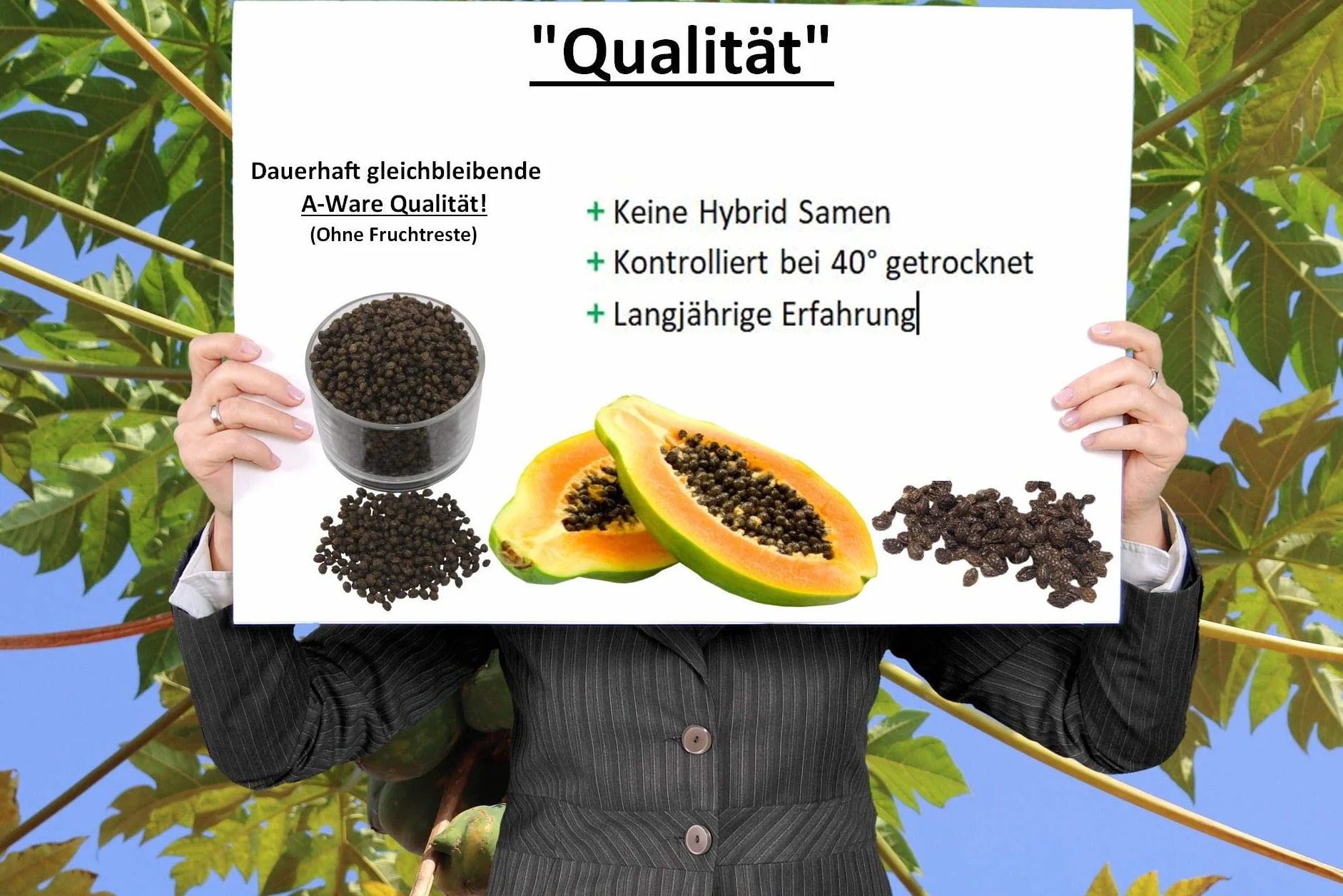 Cápsulas de semillas de papaya 120 unidades secado controlado a 40° calidad crudo sin aditivos puro sin gluten sin lactosa