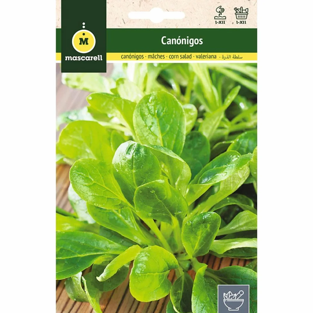 Mascarell Semillas Canónigos Valerianella Locusta Hierbas Aromáticas 5 Gramos