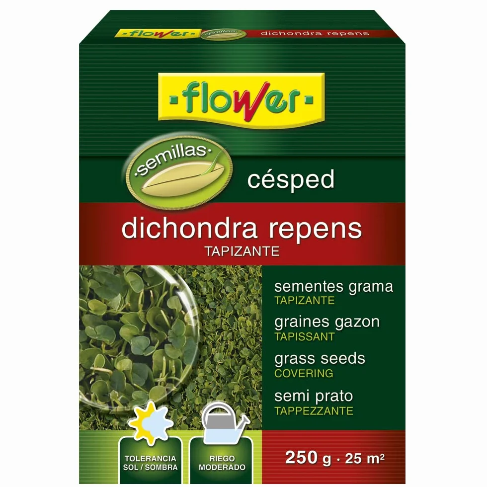 Semillas Dichondra Repens 250 gr Resistente al Sol y Sombra Ideal para 25 m2 Bajo Mantenimiento