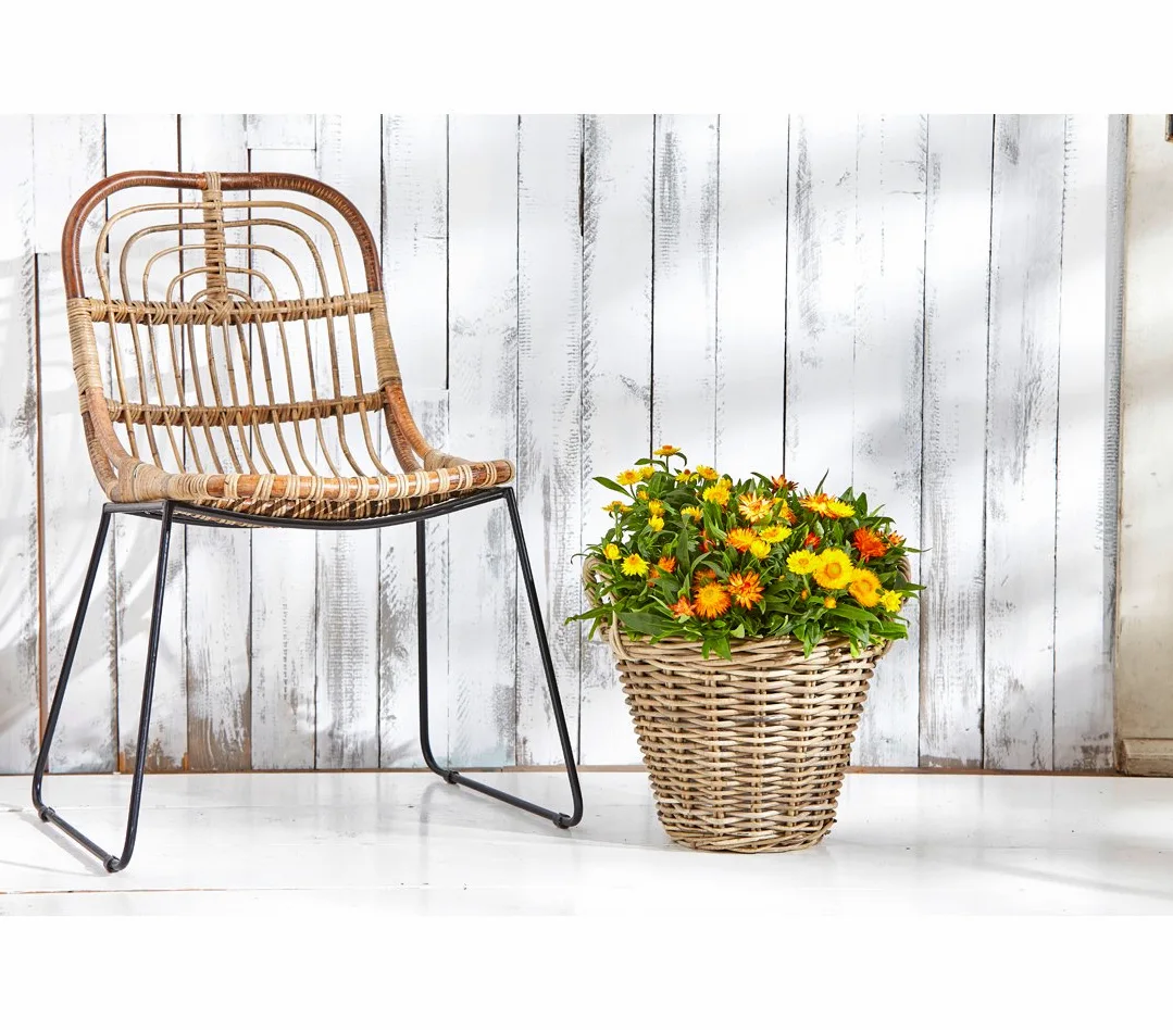 Cesta de mimbre Dehner con asas, Ø 40 cm, altura 30 cm, trenza de ratán, gris / marrón