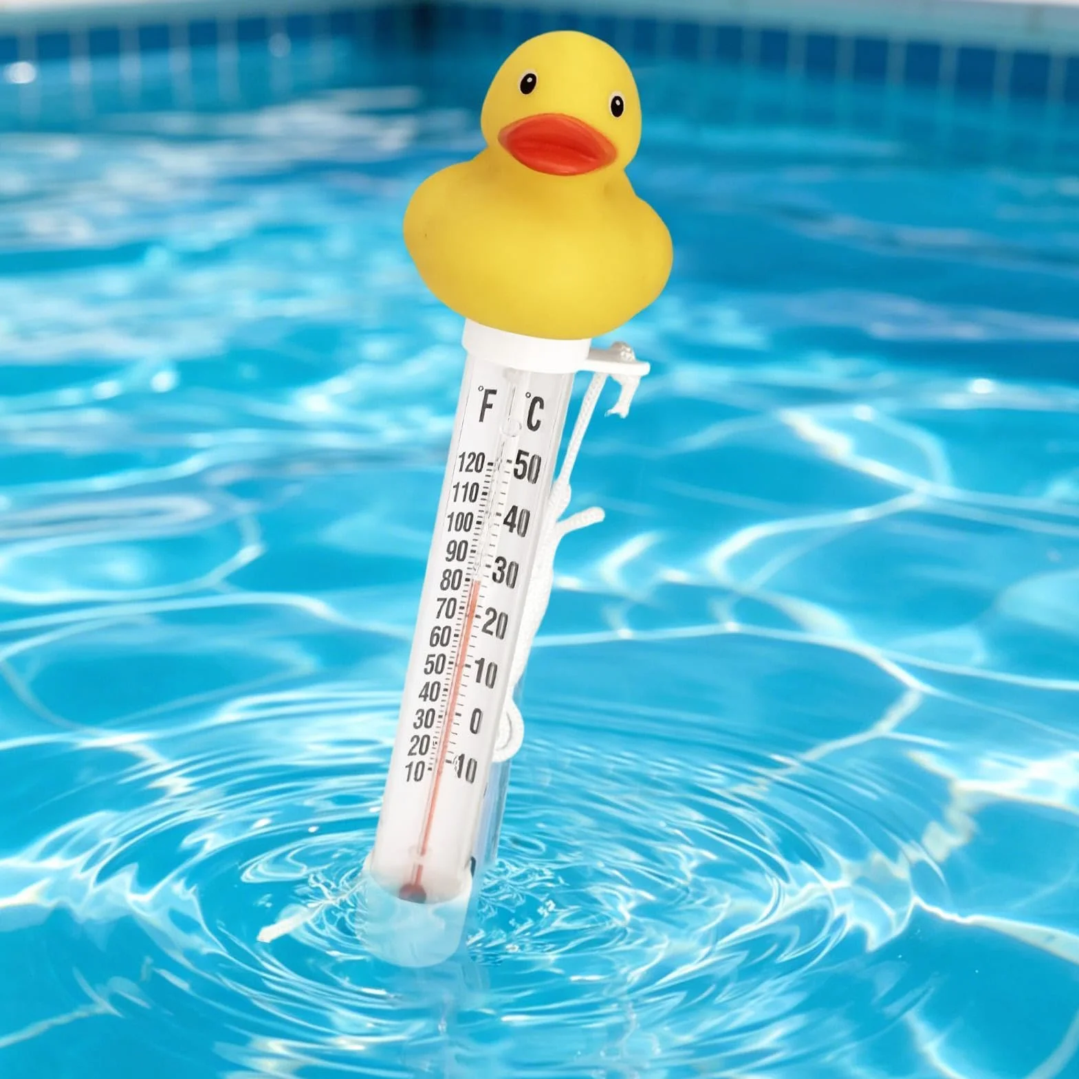 Termómetro Flotante Para Piscina Pato con Cuerda Medidor Temperatura Agua