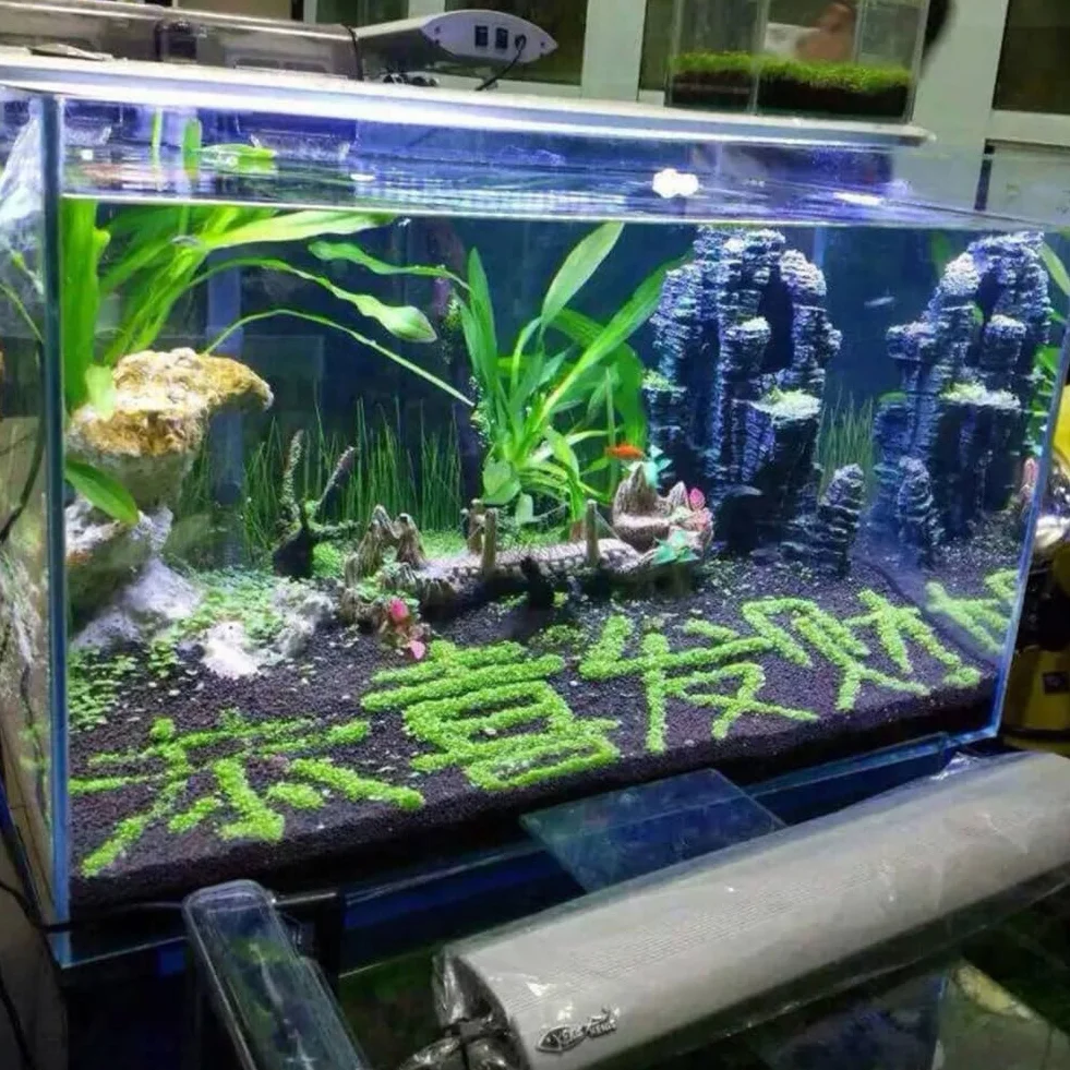 Semillas de plantas de acuario para pecera, decoración de hierba de agua, planta de primer plano de jardín