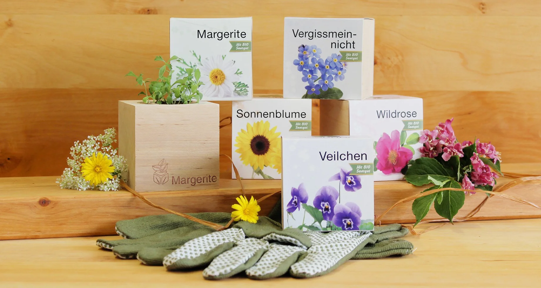 Feel Green Ecocube Forget-Me-Not, set de cultivo sostenible, plantas en cubos de madera, fabricado en Austria