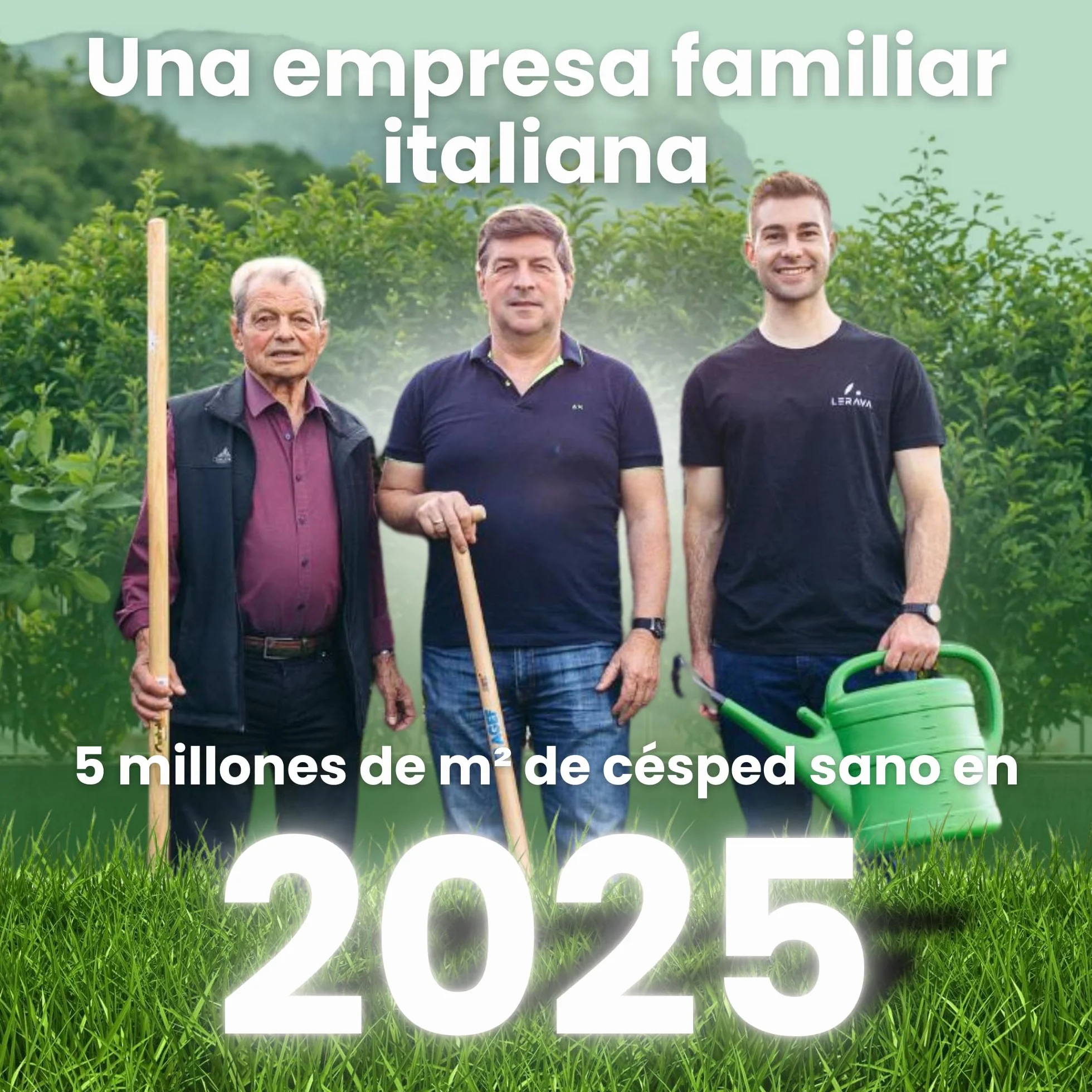 LERAVA Semillas Trebol Blanco Enano 200g 50m² Fija el Nitrógeno Mejora la Fertilidad del Suelo