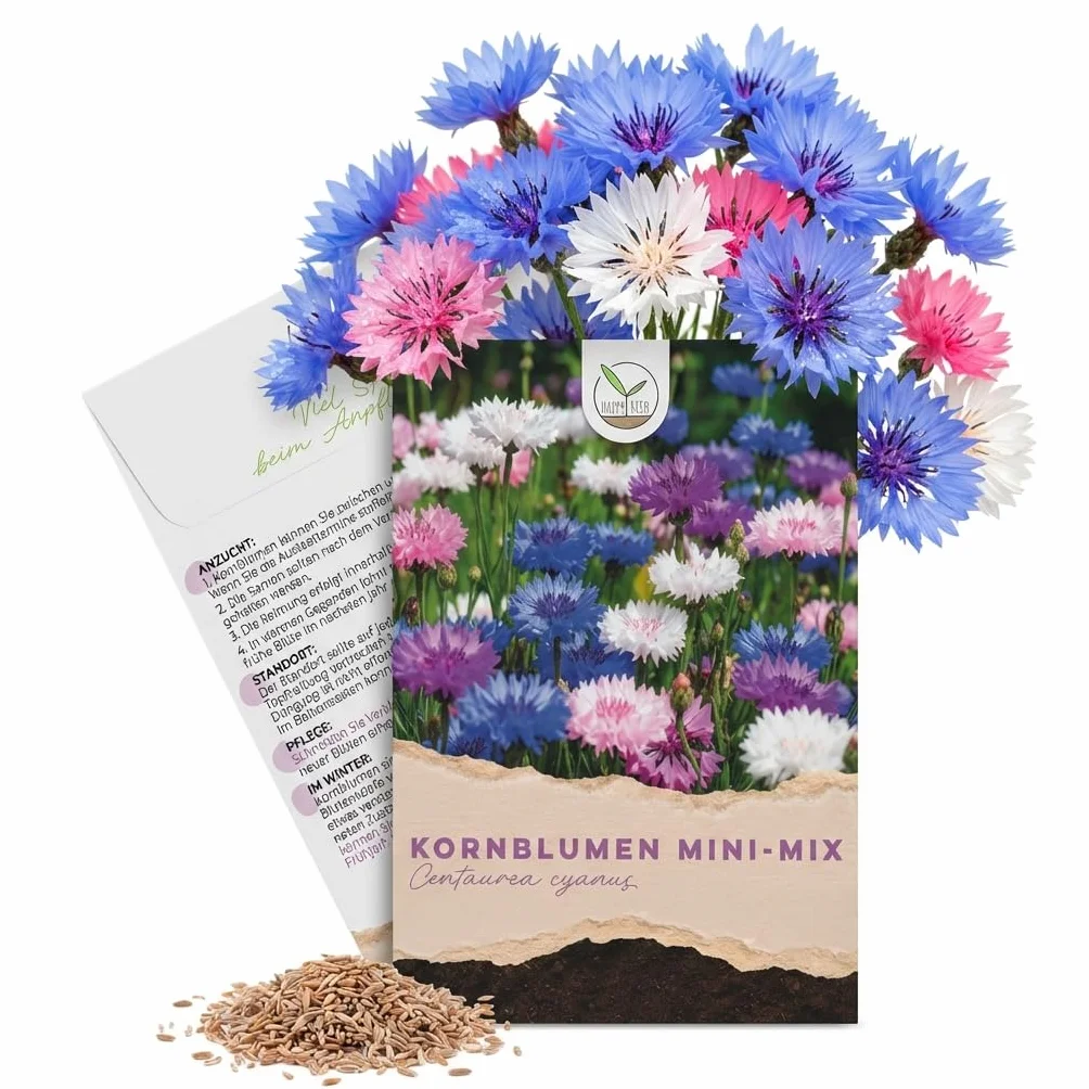 Semillas de aciano Centaurea cyanus Mini Mix 1000 grano 50 cm flores luminosas largo tiempo floración